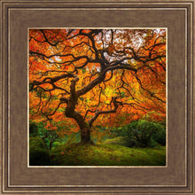 Load image into Gallery viewer, Tree of Perspective