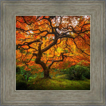 Load image into Gallery viewer, Tree of Perspective