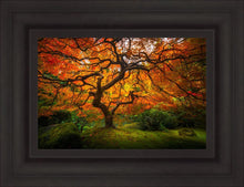 Load image into Gallery viewer, Tree of Perspective