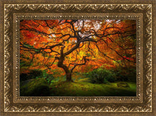 Load image into Gallery viewer, Tree of Perspective