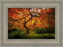 Load image into Gallery viewer, Tree of Perspective