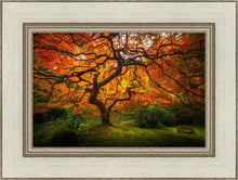 Load image into Gallery viewer, Tree of Perspective