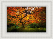 Load image into Gallery viewer, Tree of Perspective