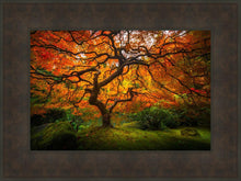 Load image into Gallery viewer, Tree of Perspective