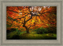 Load image into Gallery viewer, Tree of Perspective