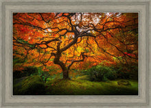 Load image into Gallery viewer, Tree of Perspective