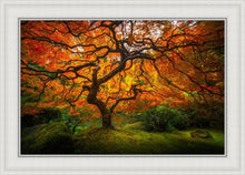 Load image into Gallery viewer, Tree of Perspective