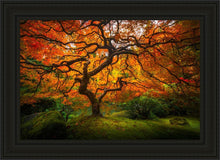 Load image into Gallery viewer, Tree of Perspective