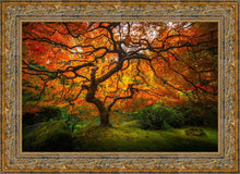 Load image into Gallery viewer, Tree of Perspective