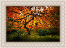 Load image into Gallery viewer, Tree of Perspective