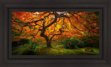 Load image into Gallery viewer, Tree of Perspective