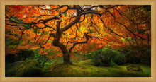 Load image into Gallery viewer, Tree of Perspective