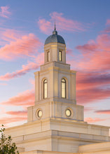 Load image into Gallery viewer, Bentonville Arkansas Look Up