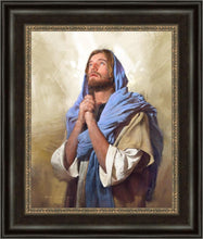 Load image into Gallery viewer, Light From Above