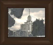 Load image into Gallery viewer, Bogota Temple