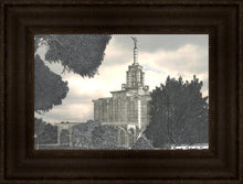 Load image into Gallery viewer, Bogota Temple
