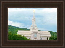 Load image into Gallery viewer, Bountiful Hillside