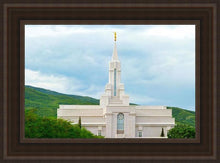 Load image into Gallery viewer, Bountiful Hillside