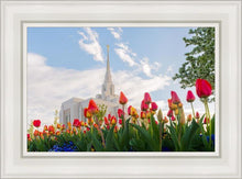 Load image into Gallery viewer, Ogden Flowers