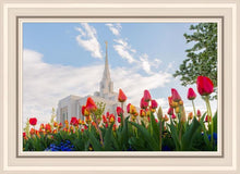 Load image into Gallery viewer, Ogden Flowers