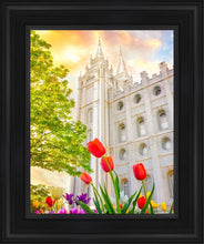 Load image into Gallery viewer, Salt Lake Spring Tulips