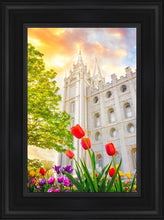 Load image into Gallery viewer, Salt Lake Spring Tulips