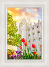 Load image into Gallery viewer, Salt Lake Spring Tulips