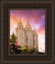 Load image into Gallery viewer, Salt Lake Tulips