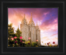 Load image into Gallery viewer, Salt Lake Tulips