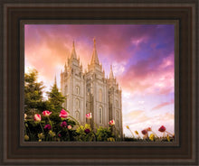 Load image into Gallery viewer, Salt Lake Tulips
