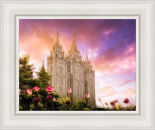 Load image into Gallery viewer, Salt Lake Tulips