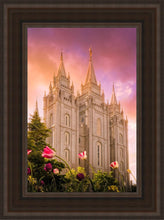 Load image into Gallery viewer, Salt Lake Tulips