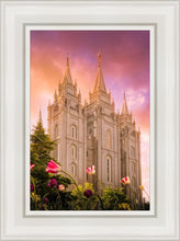 Load image into Gallery viewer, Salt Lake Tulips