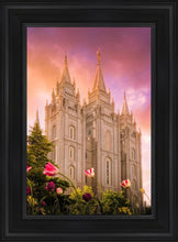 Load image into Gallery viewer, Salt Lake Tulips