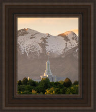 Load image into Gallery viewer, Mt. Timpanogos You’re not Alone