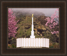 Load image into Gallery viewer, Provo Oncoming Storm