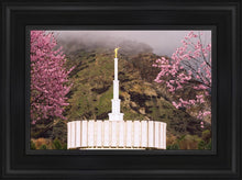 Load image into Gallery viewer, Provo Oncoming Storm