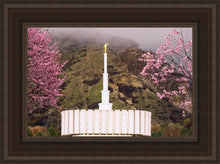 Load image into Gallery viewer, Provo Oncoming Storm