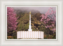 Load image into Gallery viewer, Provo Oncoming Storm