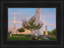 Load image into Gallery viewer, Boise Detail
