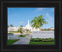 Load image into Gallery viewer, Mérida Mexico Yucatán