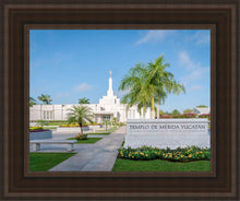 Load image into Gallery viewer, Mérida Mexico Yucatán