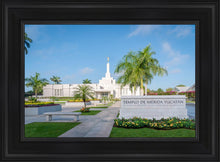 Load image into Gallery viewer, Mérida Mexico Yucatán