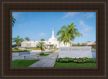 Load image into Gallery viewer, Mérida Mexico Yucatán