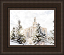 Load image into Gallery viewer, Payson Heavenly Peace