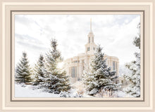 Load image into Gallery viewer, Payson Heavenly Peace
