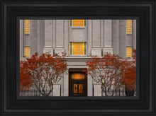Load image into Gallery viewer, Philadelphia Holiness