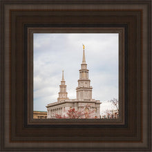 Load image into Gallery viewer, Philadelphia Freedom