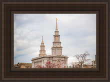Load image into Gallery viewer, Philadelphia Freedom