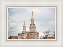 Load image into Gallery viewer, Philadelphia Freedom